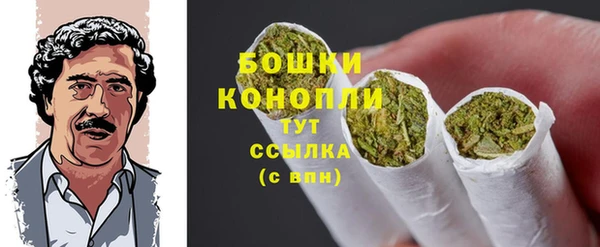 амф Медногорск