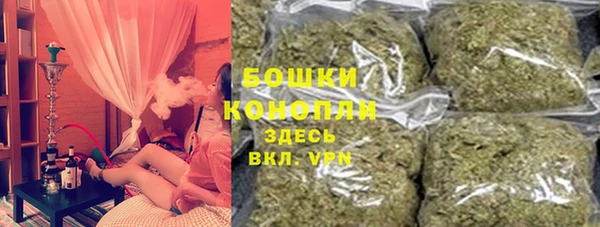 сатива Медвежьегорск