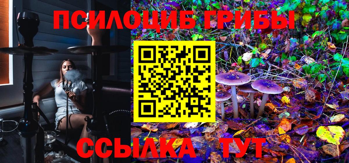 Галлюциногенные грибы GOLDEN TEACHER Комсомольск-на-Амуре