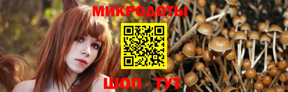 Галлюциногенные грибы мицелий  Вход с VPN  купить  сайты  Комсомольск-на-Амуре 